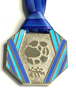 フィニッシャーメダル