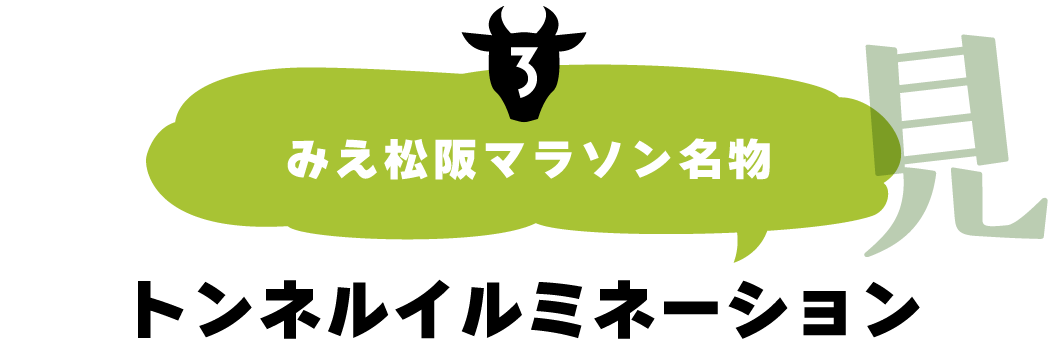 みえ松阪マラソン名物『トンネルイルミネーション』