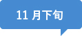 11月下旬